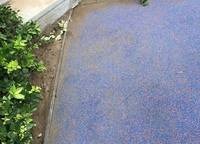康橋玖璽園
