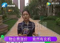翡翠明珠