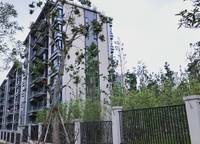 龍湖·景粼玖序
