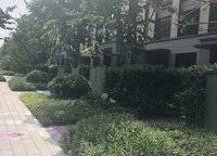 永威森林花語