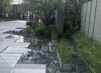 永威森林花語