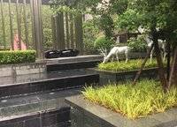 金橋西棠