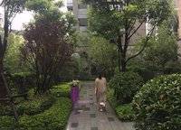 金橋西棠