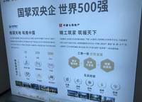 濱河春曉