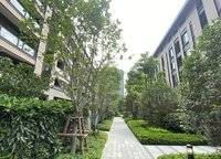 永威森林花語