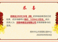 申泰中原印象