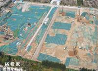 濱河春曉