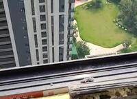 康橋悅?cè)貓@