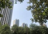 鄭報(bào)玉蘭先禾