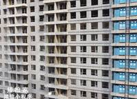 金林雙璽