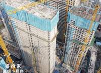 金林雙璽