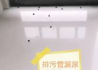 保利文化廣場(chǎng)二期