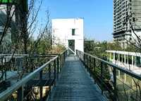 大正水晶森林