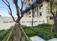 碧桂園象府
