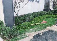 綠都瀾灣