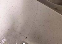 保利文化廣場二期