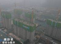 金橋西棠