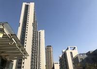 鄭報(bào)玉蘭先禾