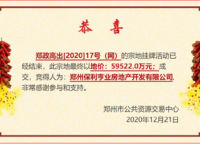 保利和光嶼湖