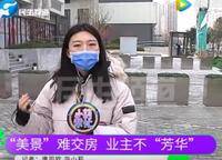美景芳華