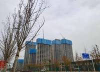 富田城九鼎華府