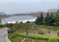 碧桂園鳳凰城