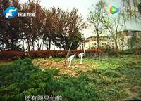 國投玖棟