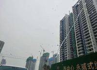 永威西郡