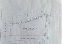 新城海棠曉月