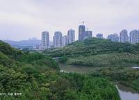 鄭州雅頌居（嘉里中心）