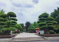金科城