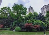金科城