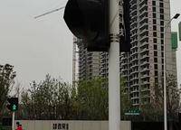 金橋西棠