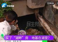 維也納湖畔
