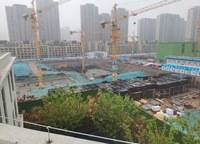 濱河春曉