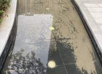 榮盛祝福花語(yǔ)水岸