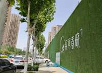 濱河春曉