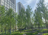 大正水晶森林