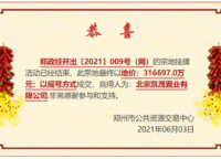 金茂越秀未來府