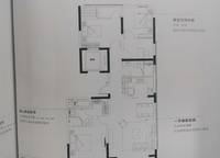 藍(lán)城鳳起梧桐