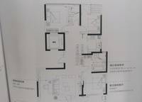 藍(lán)城鳳起梧桐