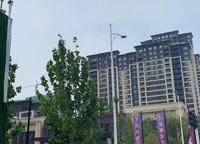 金輝濱河云著