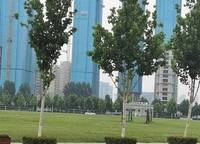 電建瀧悅?cè)A庭