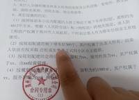 濱河春曉