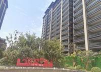 東方宇億萬林府