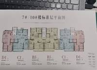 龍居華府
