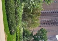 朗悅公園道1號