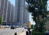 盛澳金尊府