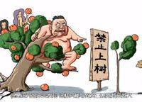 小區(qū)里肆意增長(zhǎng)的廣告