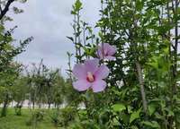 電建瀧悅?cè)A庭